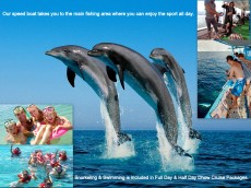 Dolphin tour Khasab